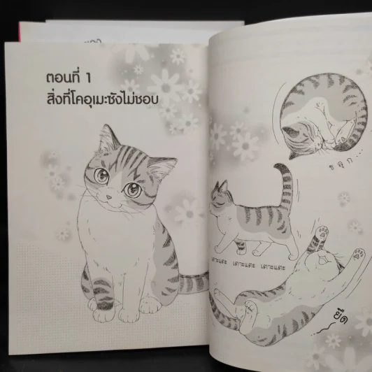 บันทึกเหมียวๆ ของโคอุเมะซัง เล่ม 1-3 รูปที่ 4