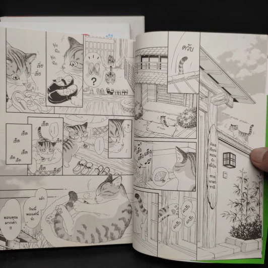 บันทึกเหมียวๆ ของโคอุเมะซัง เล่ม 1-3 รูปที่ 6