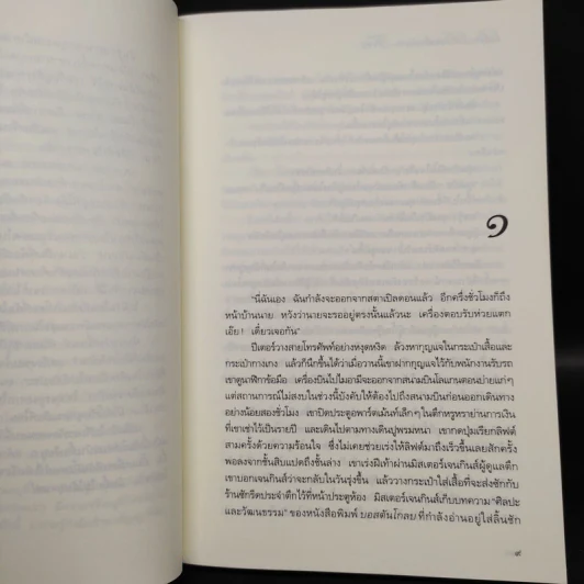 จะตามติดชิดเธอทุกชาติไป - มาร์ก เลอวี รูปที่ 6