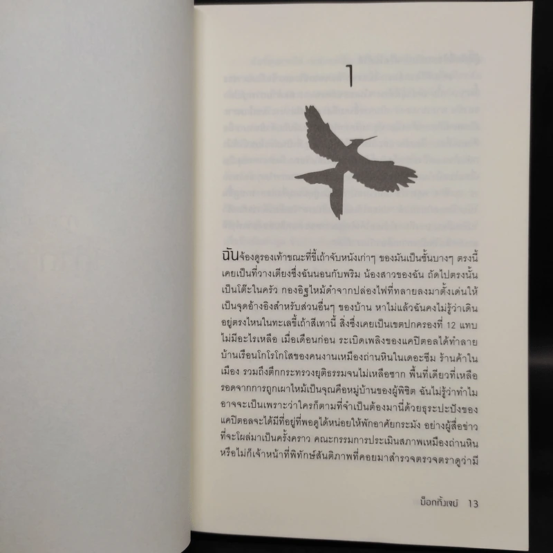 The Hunger Games 3 เล่มจบ - Suzanne Collins (ซูซานน์ คอลลินส์) รูปที่ 9
