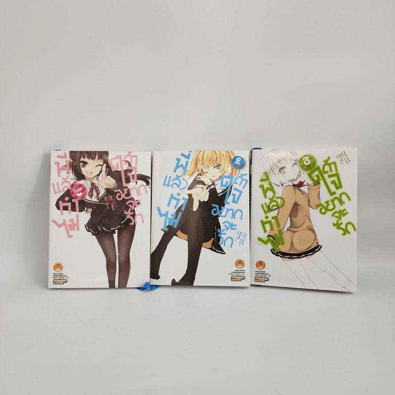 นิยาย พี่แล้วทำไมถ้าใจอยากจะรัก เล่ม 1-3 รูปที่ 1