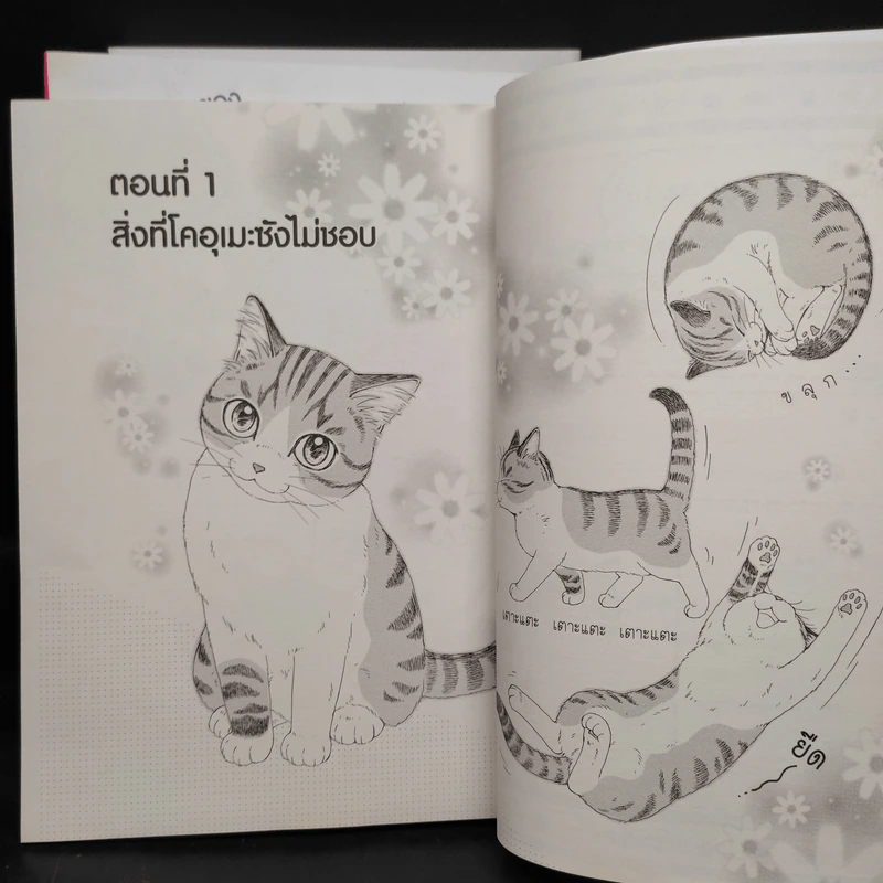 บันทึกเหมียวๆ ของโคอุเมะซัง เล่ม 1-3 รูปที่ 4