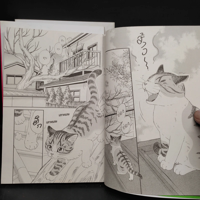 บันทึกเหมียวๆ ของโคอุเมะซัง เล่ม 1-3 รูปที่ 5