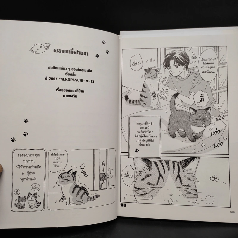 บันทึกเหมียวๆ ของโคอุเมะซัง เล่ม 1-3 รูปที่ 7