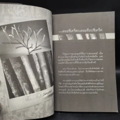 The Top Secret เดอะท็อปซีเคร็ต - ทันตแพทย์สม สุจีรา รูปที่ 7