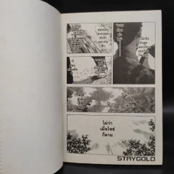Stay Gold สเตย์ โกลด์ 3 เล่มจบ รูปที่ 5