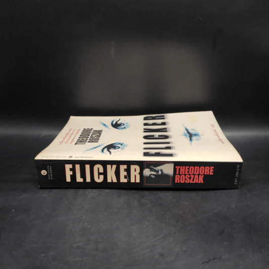 Flicker ประวัติศาสตร์อันเร้นลับของหนัง - Theodore Roszak รูปที่ 3