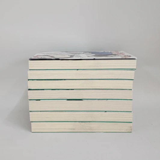 นิยาย ผู้พิทักษ์สลับขั้ว เล่ม 1-7 รูปที่ 3