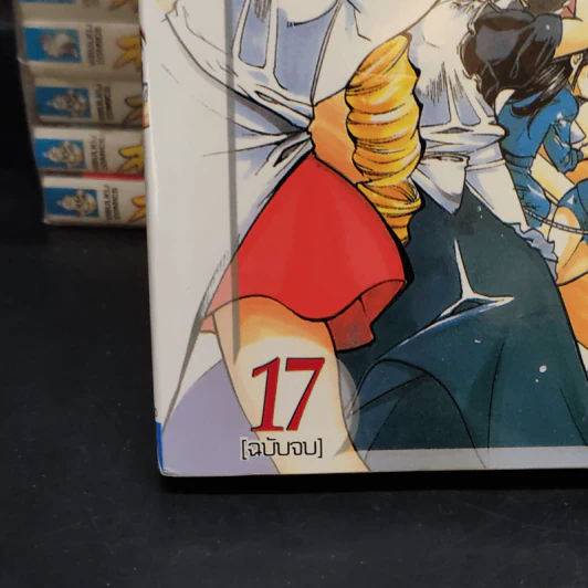 สาวน้อยต่อยหนัก 17 เล่มจบ รูปที่ 4