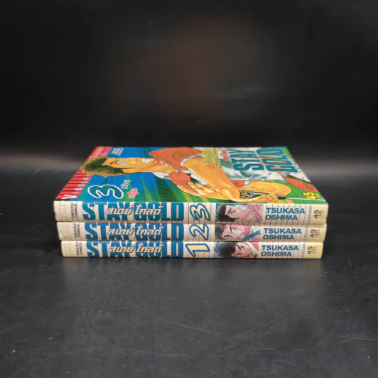 Stay Gold สเตย์ โกลด์ 3 เล่มจบ รูปที่ 2