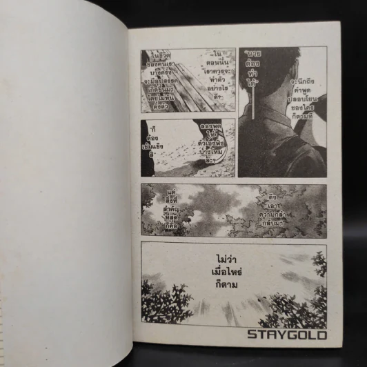 Stay Gold สเตย์ โกลด์ 3 เล่มจบ รูปที่ 5