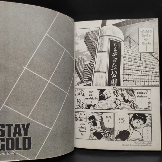 Stay Gold สเตย์ โกลด์ 3 เล่มจบ รูปที่ 6