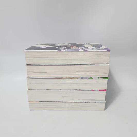 นิยาย ผู้กล้าซึนซ่าส์กับจอมมารสู้ชีวิต เล่ม 1-5 รูปที่ 3