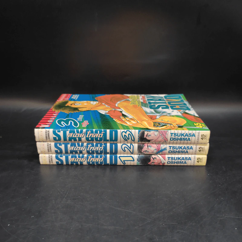 Stay Gold สเตย์ โกลด์ 3 เล่มจบ รูปที่ 2