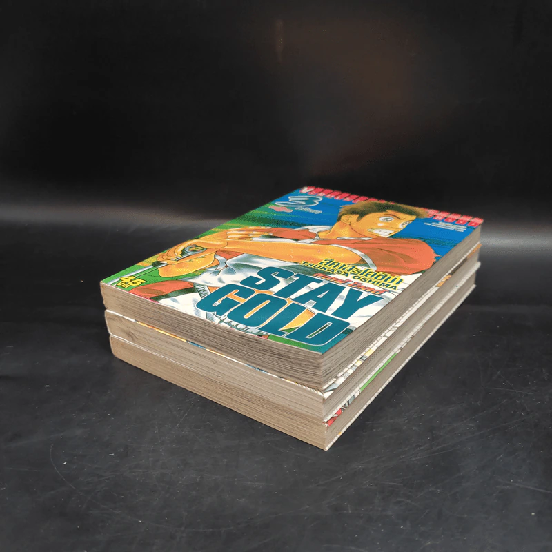 Stay Gold สเตย์ โกลด์ 3 เล่มจบ รูปที่ 3