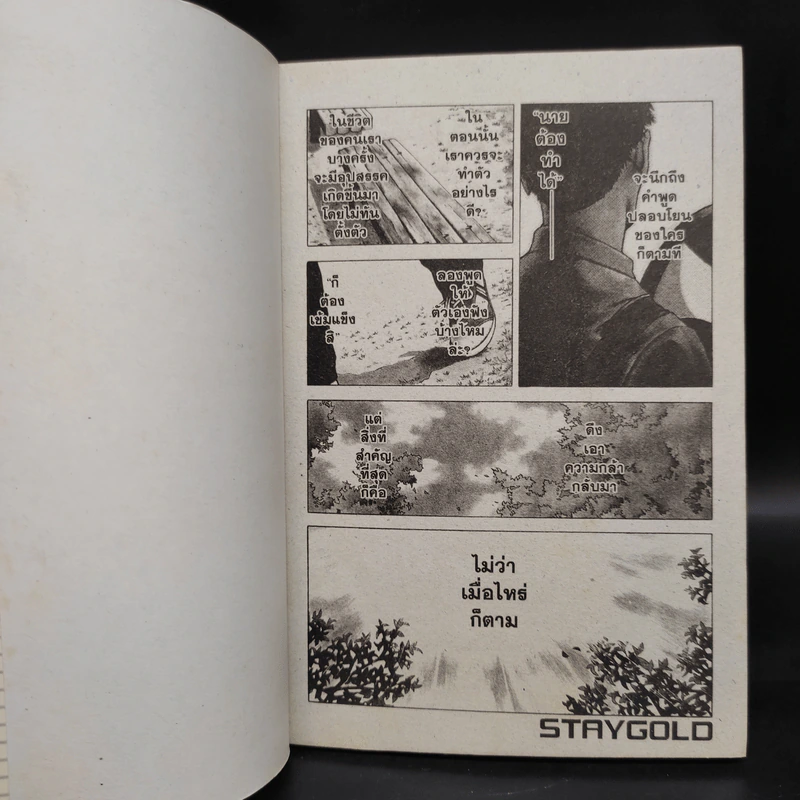Stay Gold สเตย์ โกลด์ 3 เล่มจบ รูปที่ 5