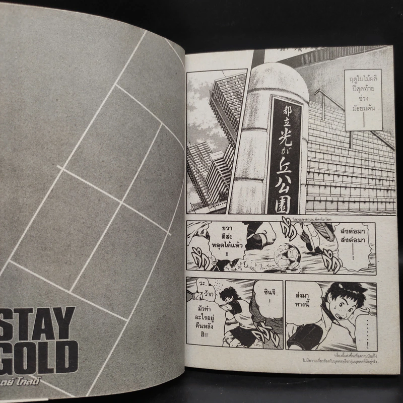 Stay Gold สเตย์ โกลด์ 3 เล่มจบ รูปที่ 6