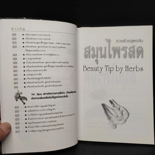 สวยด้วยสูตรลับ สมุนไพรสด Beauty Tip by Herbs - เนตรดาว แสงโปร่ง รูปที่ 9