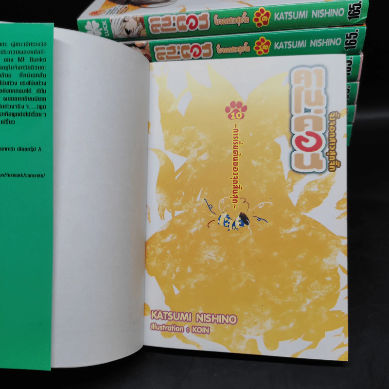 นิยาย คาโนค่อน จิ้งจอกสาวสุดจี๊ด เล่ม 1-10 รูปที่ 4
