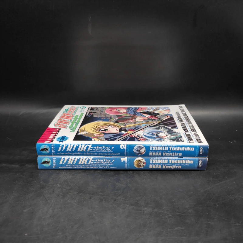 นิยาย ฮายาเตะ พ่อบ้านประจัญบาน เล่ม 1-2 รูปที่ 3