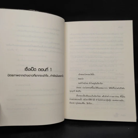 เซ็งเป็ด Best Bangkok Love Story - เซ็งเป็ด รูปที่ 6