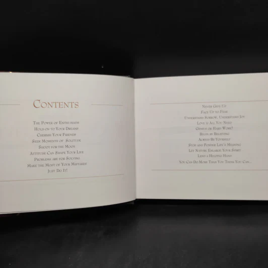 The Complete Pocket Positives รูปที่ 5