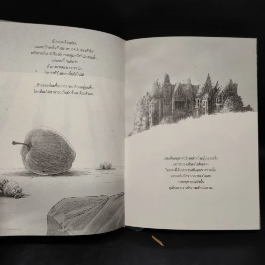 Beansprout & Firehead III The Winter Tales ถั่วงอกและหัวไฟ เล่ม 3 เรื่องเล่าฤดูหนาว - ทรงศีล ทิวสมบุญ รูปที่ 6