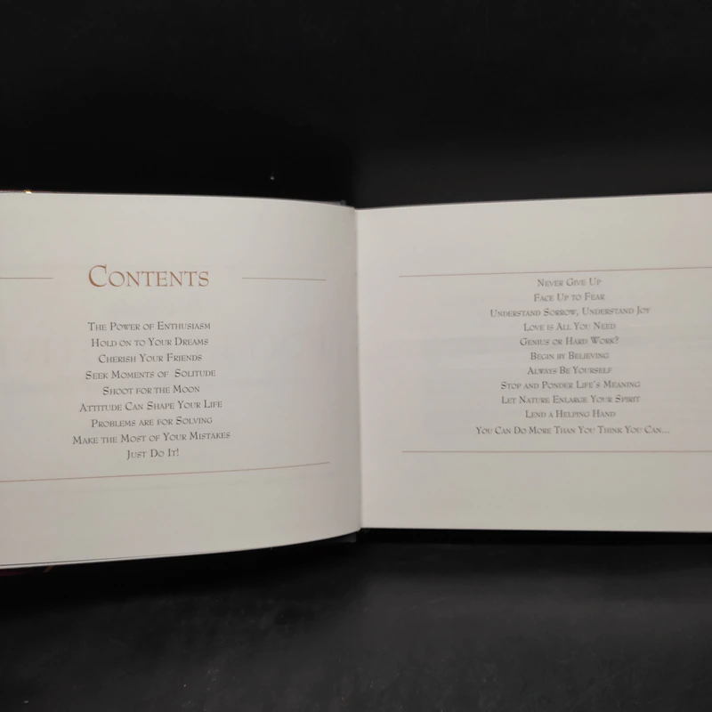 The Complete Pocket Positives รูปที่ 5