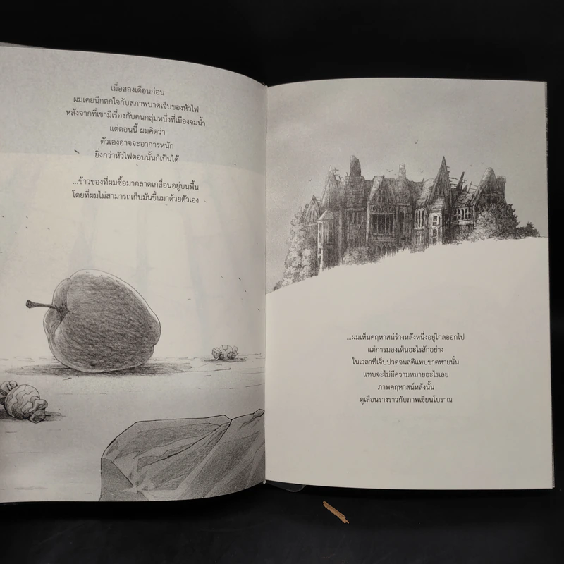 Beansprout & Firehead III The Winter Tales ถั่วงอกและหัวไฟ เล่ม 3 เรื่องเล่าฤดูหนาว - ทรงศีล ทิวสมบุญ รูปที่ 6