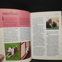 รู้ไหมหมาคิดอะไรอยู่? + รู้ไหมแมวคิดอะไรอยู่? - Gwen Bailey รูปที่ 6