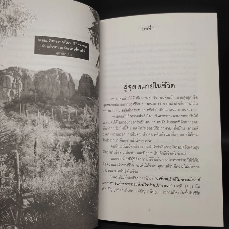 พลังแห่งชีวิต รูปที่ 6