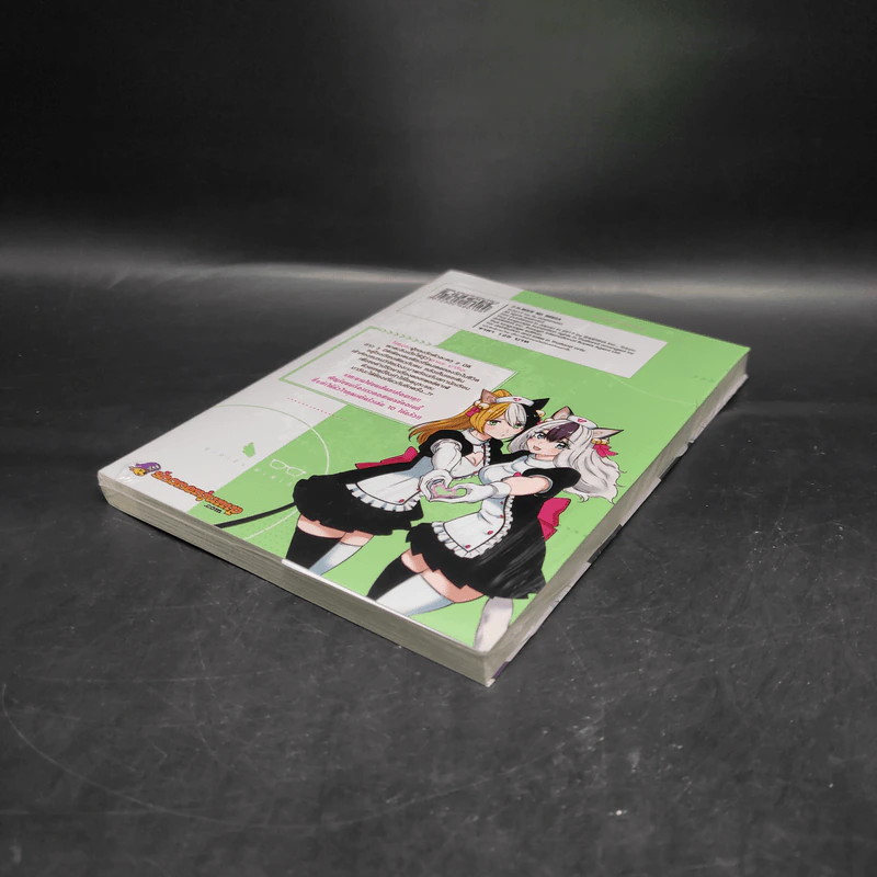2.5 มิติ ริริสะ เล่ม 10 รูปที่ 4