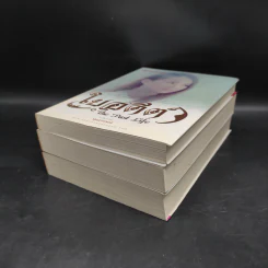 ใยกรรม ใยอดีต ใยรัก เล่ม 1-3 - บุญวรรณี รูปที่ 3
