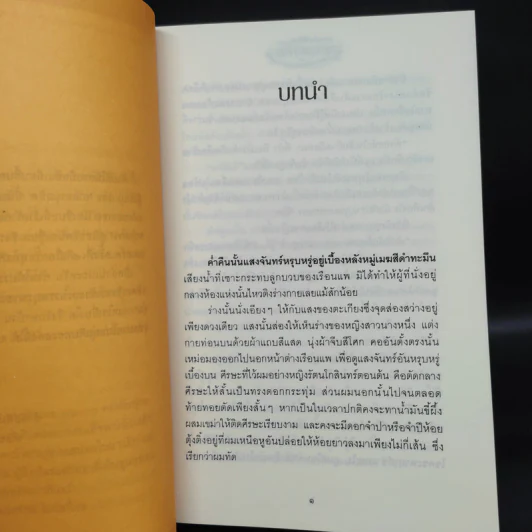 เภตรานฤมิต 2 เล่มจบ - ศิริวิมล รูปที่ 6