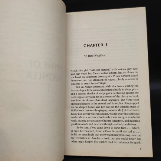 Anne of Avonlea - Lucy Maud Montgomery รูปที่ 6