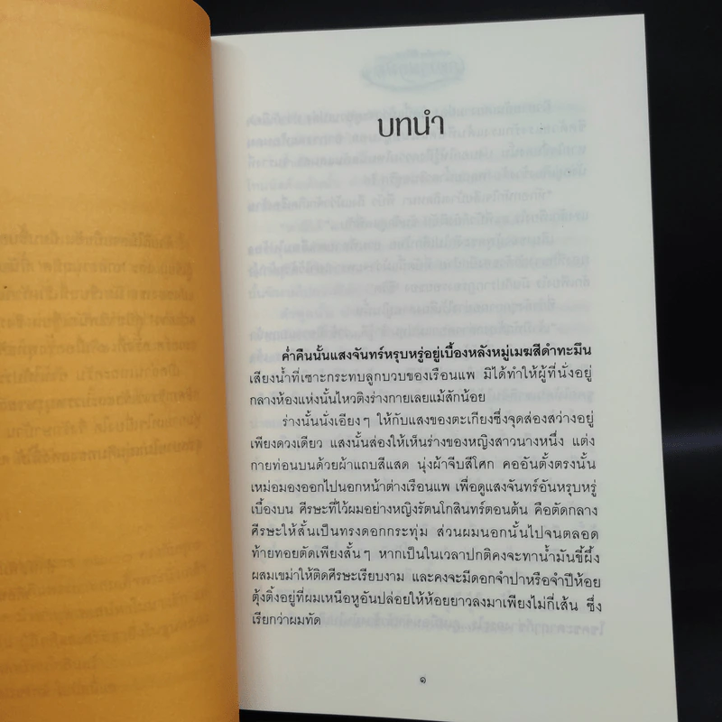 เภตรานฤมิต 2 เล่มจบ - ศิริวิมล รูปที่ 6