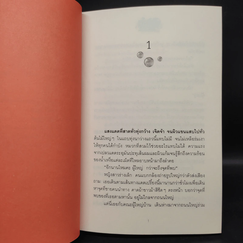 อขิทโร อุบัติ มหาคุรุเทวา 5 เล่มจบ รูปที่ 6