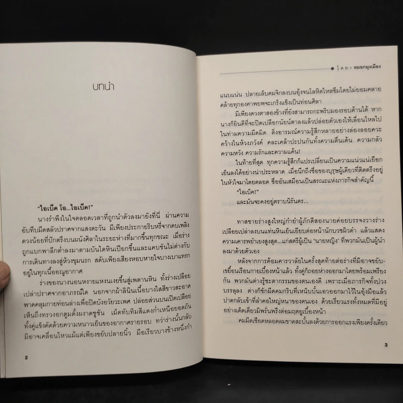 เหรียญนิรมิต 2 เล่มจบ - หมอกมุงเมือง รูปที่ 6