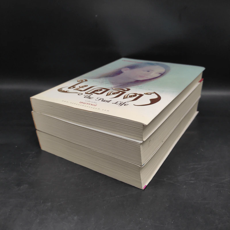ใยกรรม ใยอดีต ใยรัก เล่ม 1-3 - บุญวรรณี รูปที่ 3