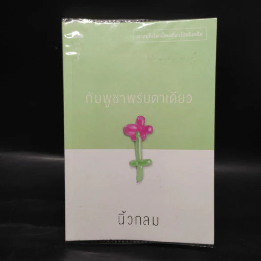 กัมพูชาพริบตาเดียว - นิ้วกลม รูปที่ 1