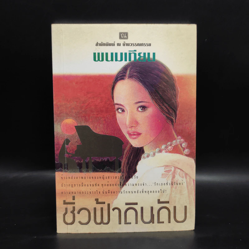 ชั่วฟ้าดินดับ - พนมเทียน รูปที่ 1