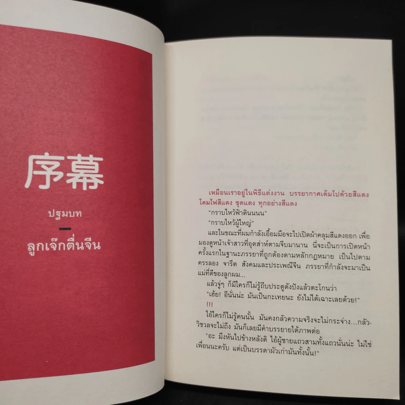 บันทึกการเดินทางของนายวิชัย มาตกุล คนไทยเชื้อสายจีนที่ไม่เคยไปประเทศจีน รูปที่ 6