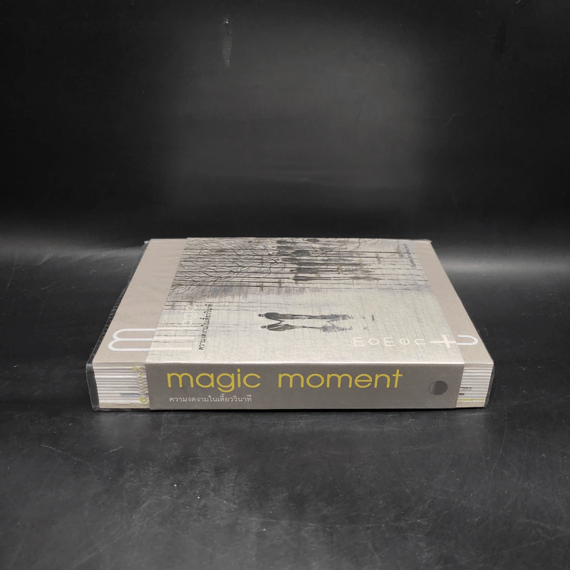 Magic Moment ความงดงามในเสี้ยววินาที - กันตพร สวนศิลป์พงศ์ รูปที่ 3