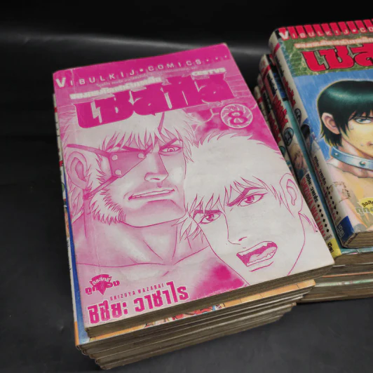 จอมหมัดสนับเหล็ก เซสทัส 15 เล่มจบ (ขาดเล่ม 7) รูปที่ 9