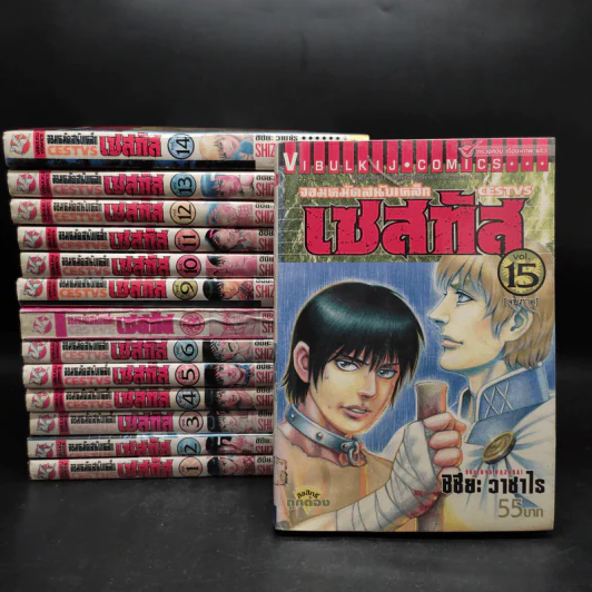 จอมหมัดสนับเหล็ก เซสทัส 15 เล่มจบ (ขาดเล่ม 7) รูปที่ 1