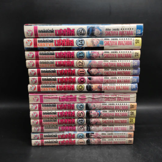 จอมหมัดสนับเหล็ก เซสทัส 15 เล่มจบ (ขาดเล่ม 7) รูปที่ 2