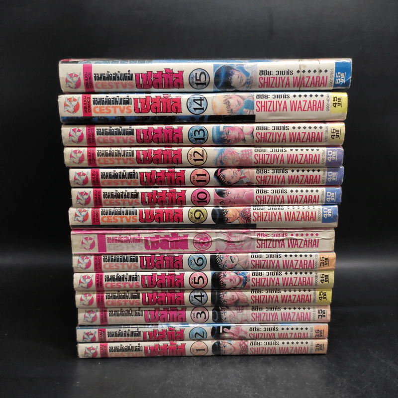 จอมหมัดสนับเหล็ก เซสทัส 15 เล่มจบ (ขาดเล่ม 7) รูปที่ 2