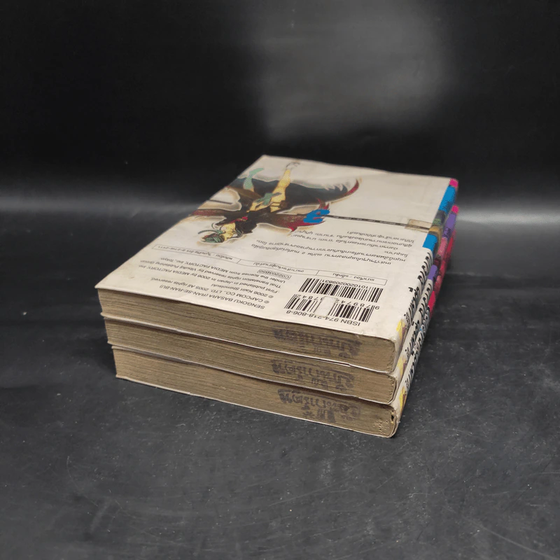 มหาศึกบาซาร่า BASARA 3 เล่มจบ รูปที่ 3