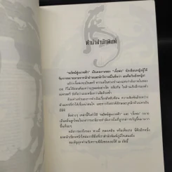 พยัคฆ์คู่ผงาดฟ้า 6 เล่มจบ - น.นพรัตน์ รูปที่ 6