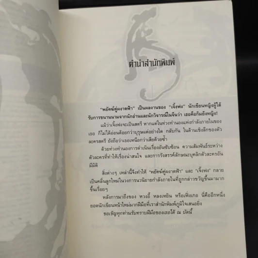 พยัคฆ์คู่ผงาดฟ้า 6 เล่มจบ - น.นพรัตน์ รูปที่ 6